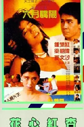 一区二区精品在线观看
