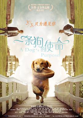 国内精自品线一区91
