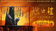 一级国产视频