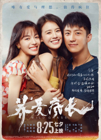 五月婷网